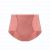 Louisa Bracq Pegase Hoge taille slip 55151